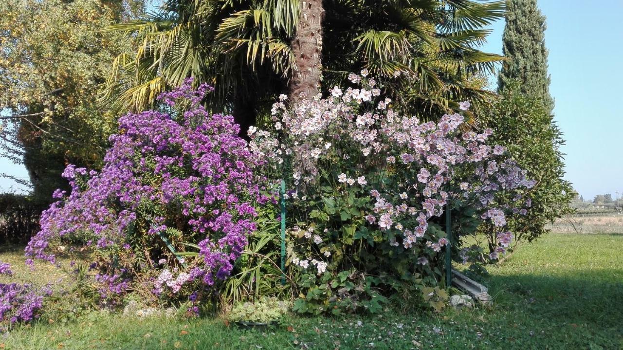 B&B Da Miriam Castelnuovo del Garda Exterior foto